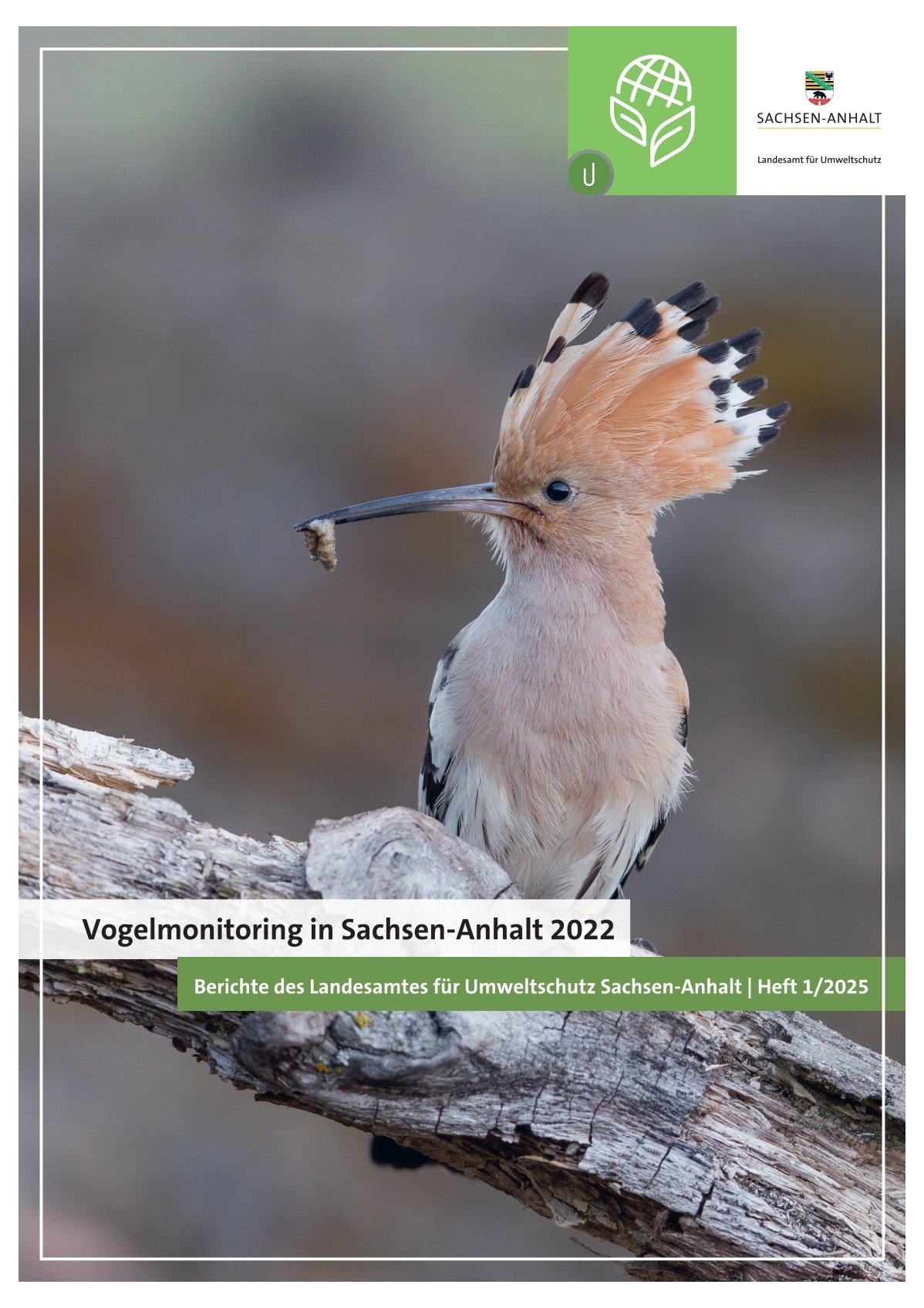 Cover Vogelmonitoring
